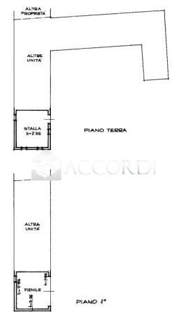 BIFAMILIARE di 10 vani e di 250 mq (POVEGLIANO) rif. SW136 - Foto 13