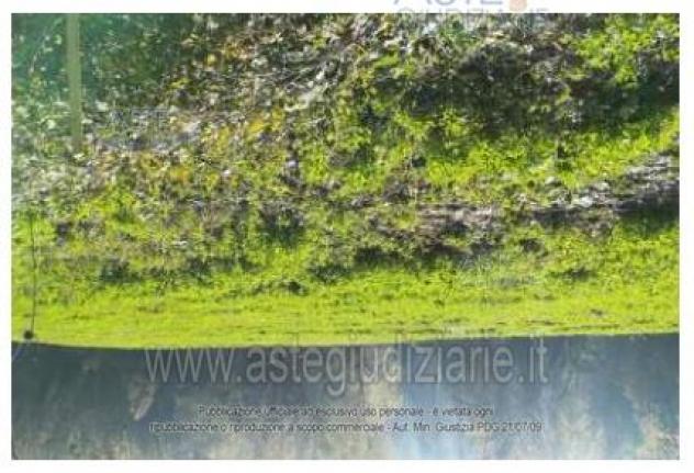 IMMOBILI-IMMOBILE RESIDENZIALE-Via Grande, 91, 47835 Sant'Ansovino RN, Italia - Foto 5