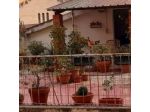 B&B AJANA