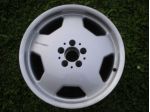 Cerchio AMG 18x9 Mercedes Benz