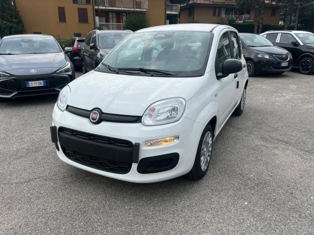 FIAT Pandina Pandina 1.0 firefly hybrid Icon s&s 65cv