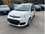 FIAT Pandina Pandina 1.0 firefly hybrid Icon s&s 65cv