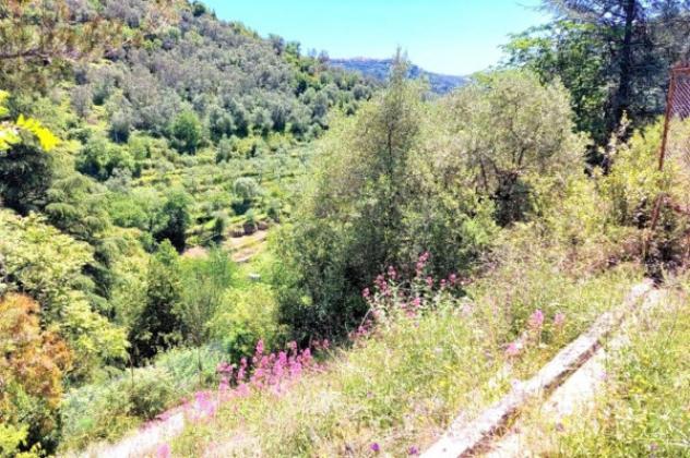 Immobile in asta di 21000 m² in vendita a Pietrabruna - Foto 9