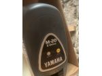 Yamaha M20 motore elettrico per barcabatteria
