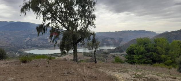 Terreno in vendita a Caccamo - Foto 16
