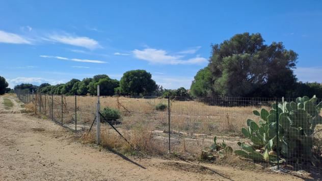 Agricolo in vendita a Quartucciu - Foto 17