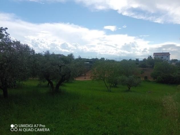 Uliveto in vendita a Lanciano - Foto 11