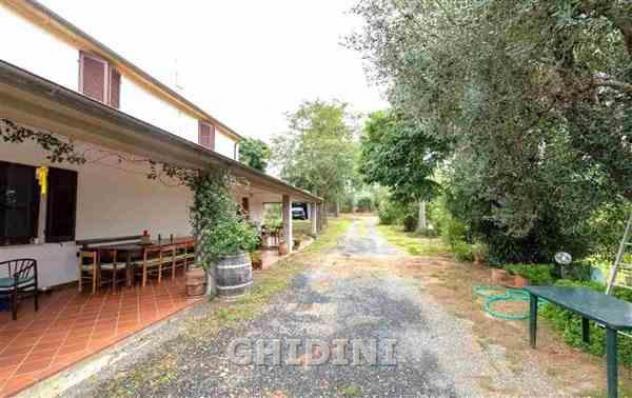 COLONICA di 8 vani e di 200 mq (MAGLIANO IN TOSCANA - POGGIO LA MOZZA) rif. 1017.163M - Foto 4