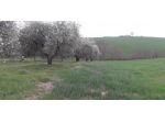Rustico in vendita a Manciano 800 mq  Rif: 1035606