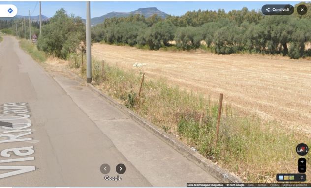 SANTADI (SU) Via RIO CANE, TERRENO 16541 MQ con 50 OLIVI ADIACENTE PAESE 3,5€/m² - Foto 5