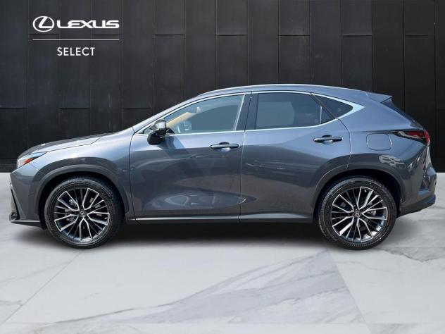 Lexus NX Plug-in Luxury 4WD MY22 - Foto 2