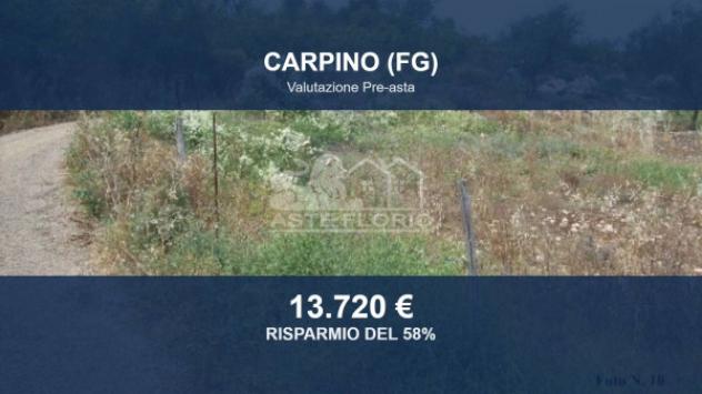 Immobile in asta di 10848 m² in vendita a Carpino