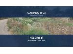 Immobile in asta di 10848 m² in vendita a Carpino
