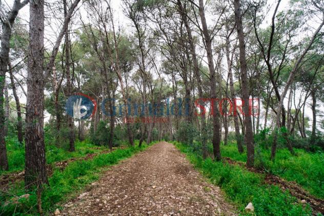 Casale in vendita a Monteroni di Lecce - Foto 10