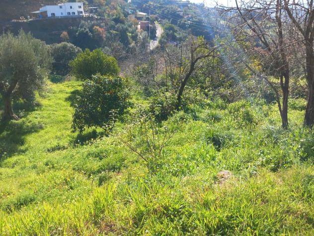 Casa di campagna in Contrada Sovarette Soprane - Foto 14