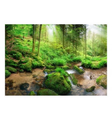 Fotomurale Adesivo Nella Foresta Erbosa Arredalacasa - Foto 2