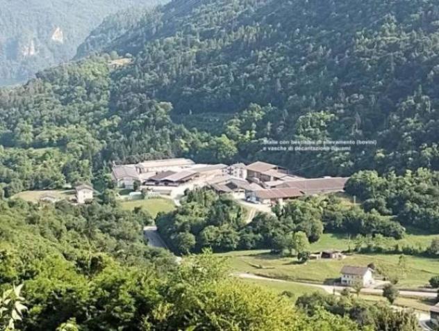 Immobile in asta di 80 m² in vendita a Arsiè - Foto 10