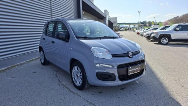 FIAT Panda 1.0 FireFly Hybrid City Life LEGGE 104 IVA ESPOSTA rif. 23401849 - Foto 3