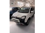 Fiat Panda 1.0 FireFly S&S Hybrid City Cross 4x4