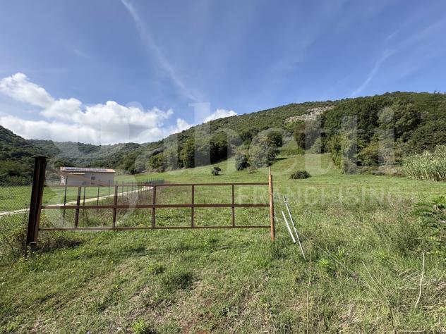 Terreno Agricolo - Segni . Rif.: Cod. rif 3261218VCG - Foto 9