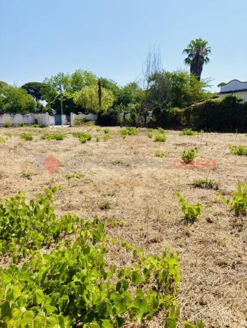 Terreno Agricolo - Terracina . Rif.: Cod. rif 3250892VCG - Foto 15