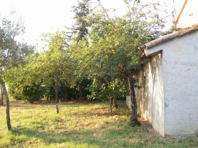 Nell campagne di Montecchio casale di 160mq circondato da 2,2ha di terreno - Foto 4