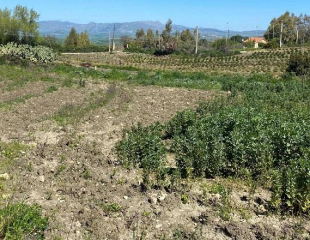 Immobile in asta di 3414 m² in vendita a Corleone - Foto 7