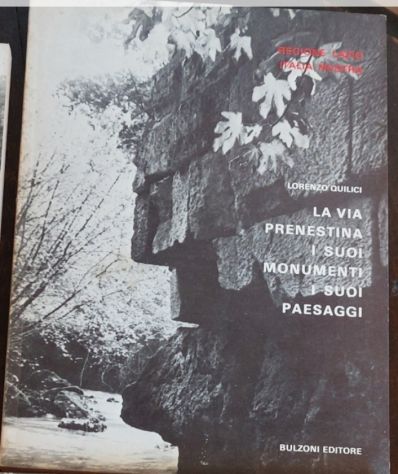 La Via Prenestina : i suoi monumenti, i suoi paesaggi Quilici, Lorenzo , 1977
