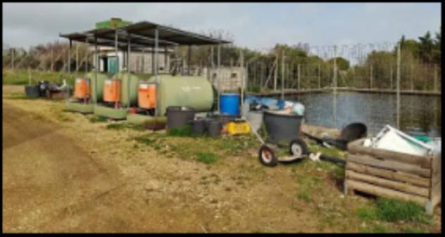 Immobile in asta di 900 m² con più di 5 locali in vendita a Gioia del Colle - Foto 16