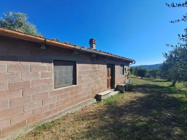 Valdambra - Annesso in Muratura con Terreno e Uliveto - Rif. C10 - Foto 3