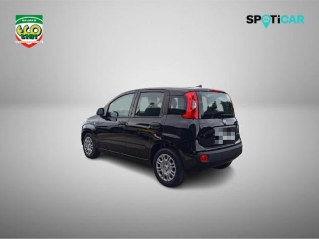 FIAT Panda 1.0 FireFly S&S Hybrid+GPL rif. 24175603 - Foto 7