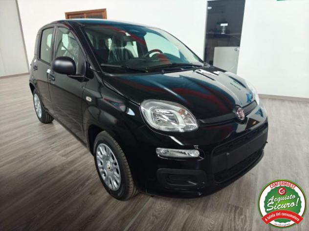 FIAT Pandina 1.0 FireFly 65 CV Hybrid Icon rif. 24112355 - Foto 3