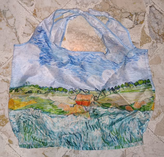 Sacca van Gogh - Foto 2