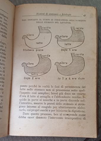 GUIDA PRATICA PER LE MADRI, Prof. Giovanni Antonio DOTTI, 1946. - Foto 5