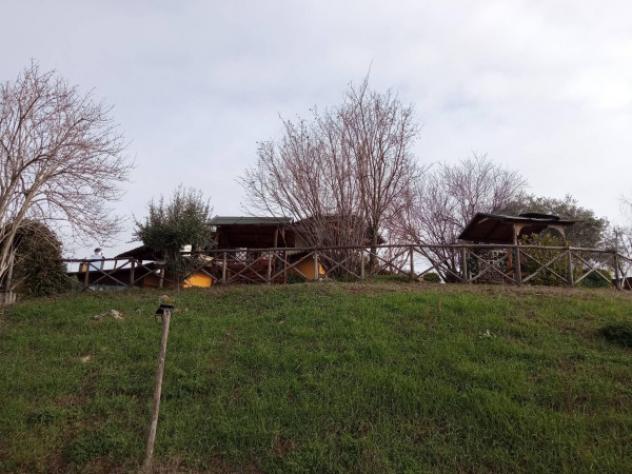 Immobile in asta in vendita a Torricella Sicura - Foto 5