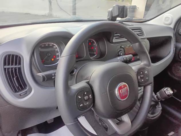 FIAT Panda Panda 1.0 firefly hybrid City Life s&s 70cv - Foto 6