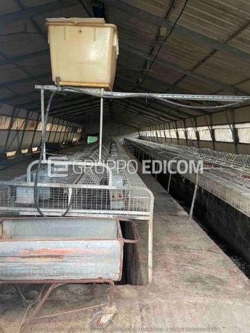 Fabbricati per attività agricole di 1282 mq in vendita a Galliate - Rif. 4553193 - Foto 19