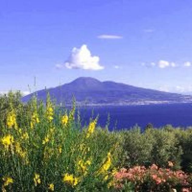 Casale Antonetta S.r.l. - Foto 4