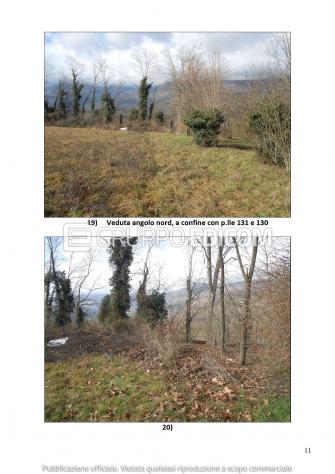Terreno di 13290 mq in vendita a Aviano - Rif. 4551424 - Foto 11
