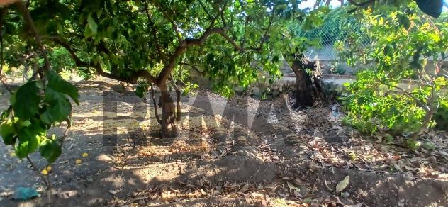 Terreno in vendita a Calatabiano, San Marco - Foto 10
