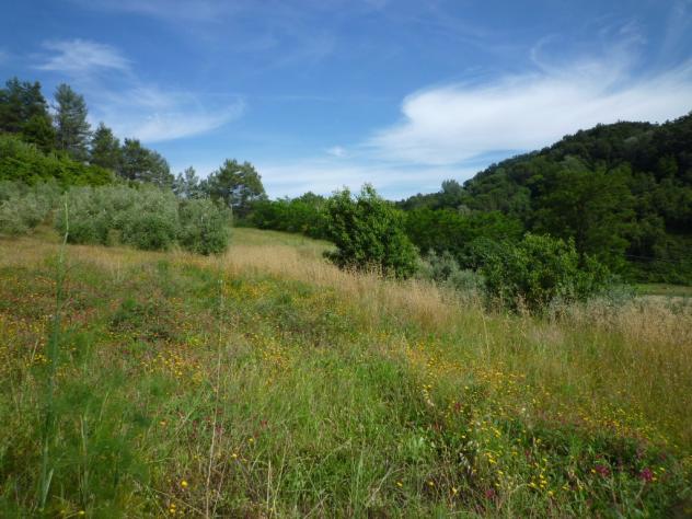 Terreno agricolo in vendita a Chiecinella - Palaia 9000 mq Rif: 455004 - Foto 3