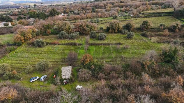 Terreno Edificabile in vendita a Randazzo, Montelaguardia - Foto 19
