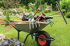 Giardinaggio e manutenzione