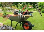 Giardinaggio e manutenzione