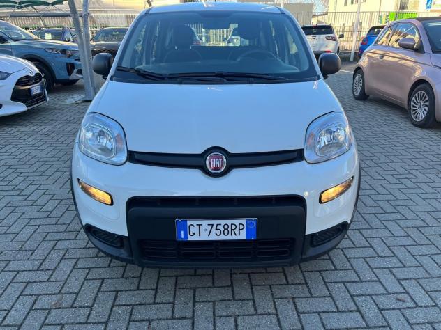 FIAT Panda 1.0 FireFly 70cv S&S Hybrid - Foto 2