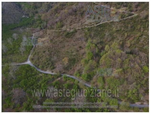 IMMOBILI-ALTRA CATEGORIA-calità San Totaro Valle del Cerasuolo - Foto 2