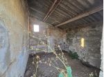 Vendesi uliveto con rudere