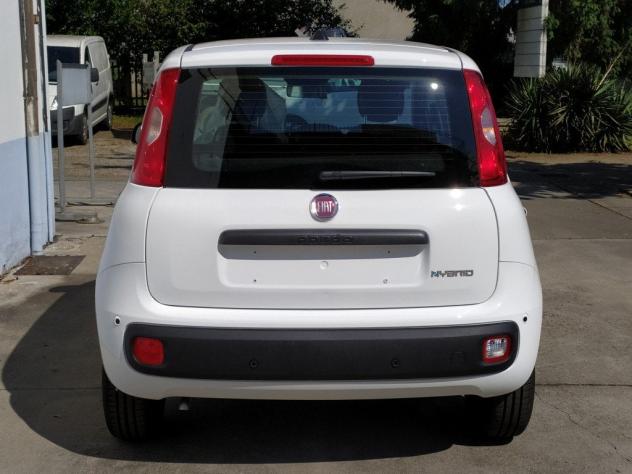 FIAT Pandina 65 Pandina hybrid Icon Promo CBC 5 - Foto 10
