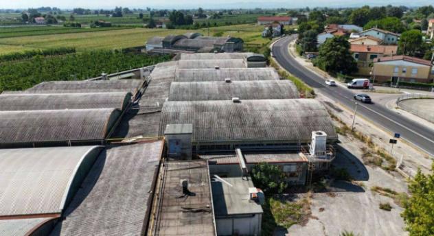 Immobile in asta di 8957 m² in vendita a Cotignola - Foto 9