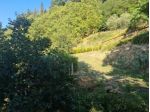 Terreno agricolo in vendita a Castelfranco di Sotto 2200 mq  Rif: 1059501